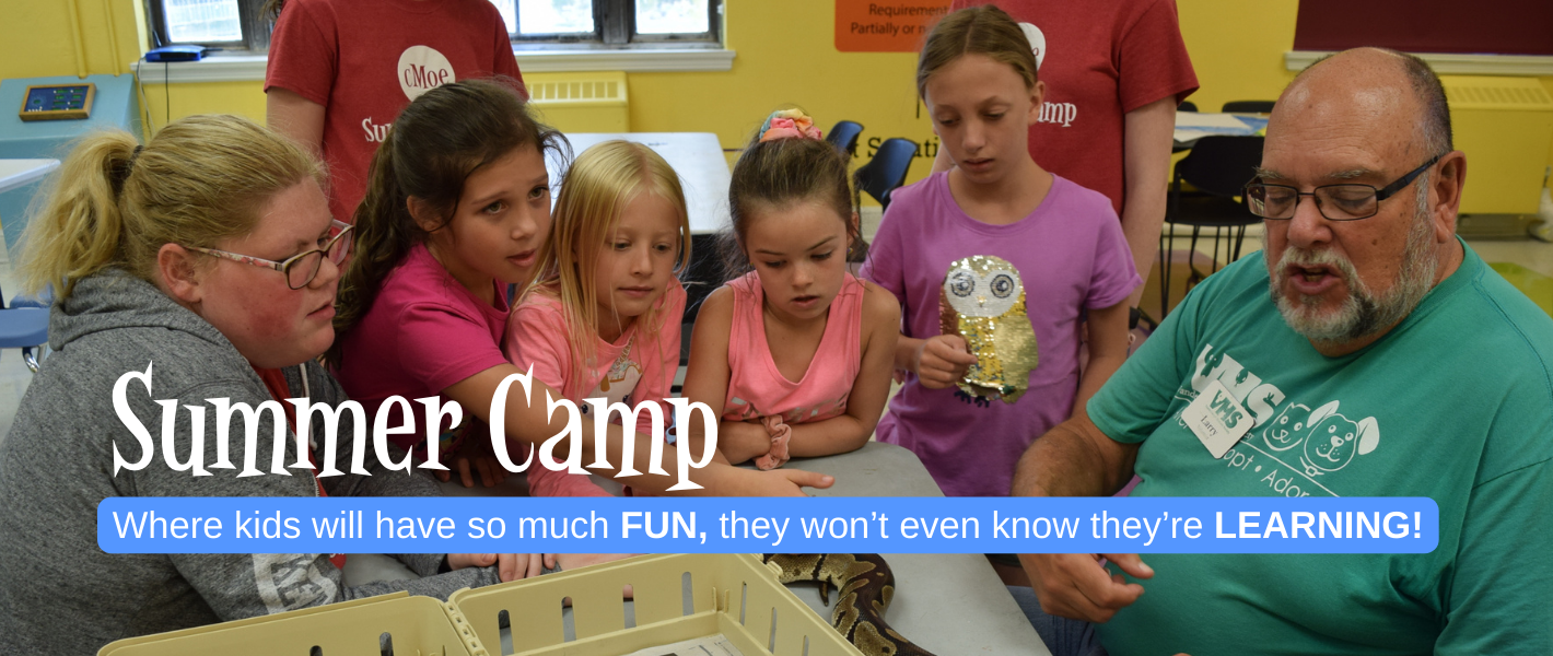 Summer Camp Header Image